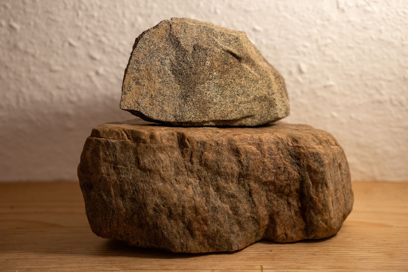 Buffalo-shaped meteorite on petrified wood pedestal